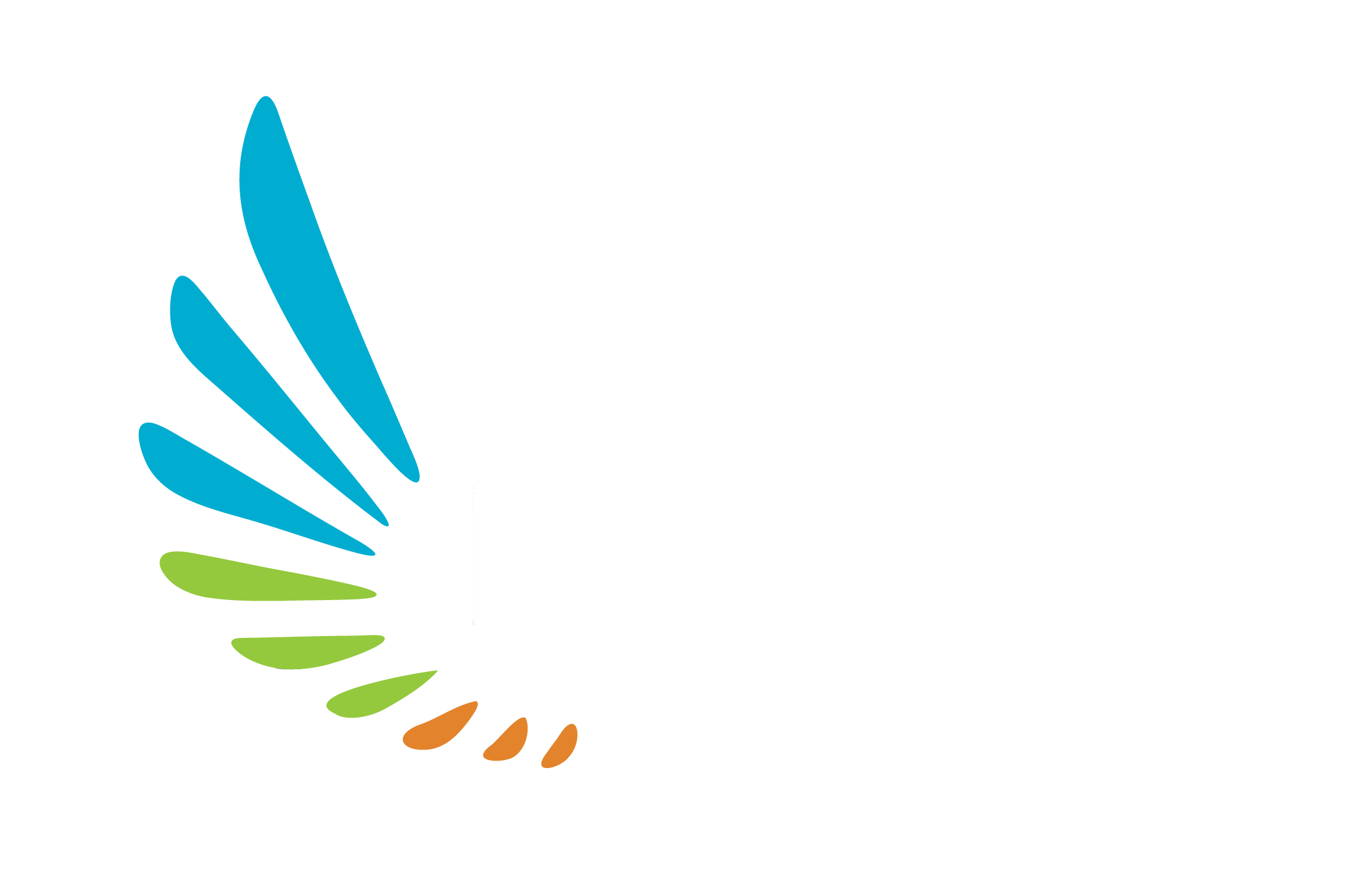 DANJAV logo